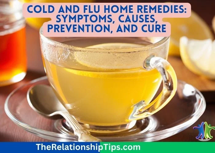 Cold and Flu Home Remedies: Symptoms, Causes, Prevention, and Cure