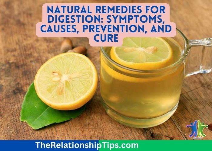Natural Remedies for Digestion: Symptoms, Causes, Prevention, and Cure
