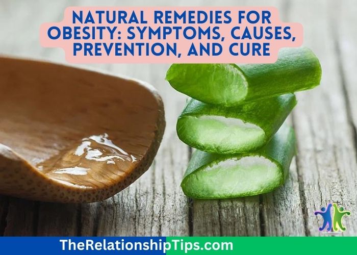 Natural Remedies for Obesity: Symptoms, Causes, Prevention, and Cure