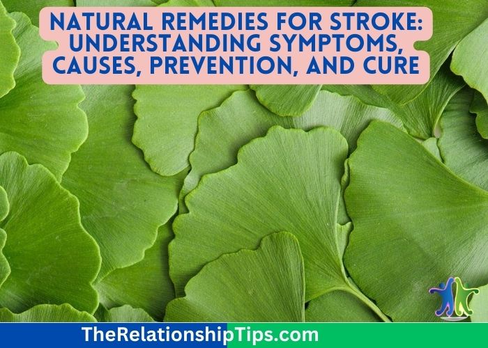 Natural Remedies for Stroke: Understanding Symptoms, Causes, Prevention, and Cure