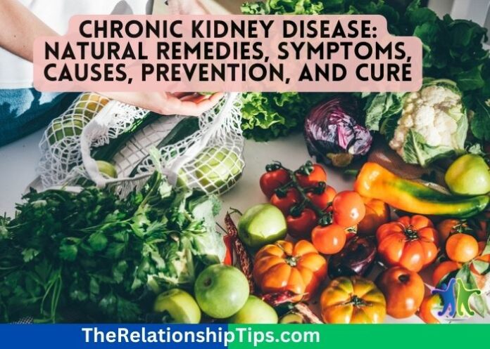 Chronic Kidney Disease: Natural Remedies, Symptoms, Causes, Prevention, and Cure