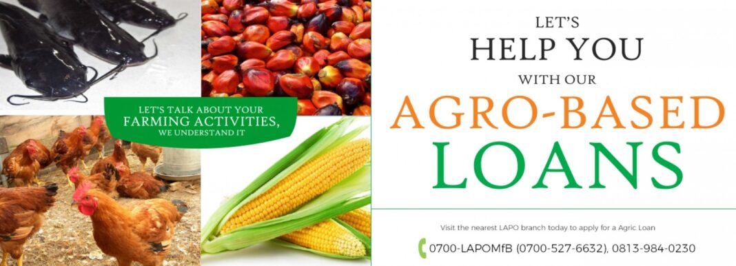 Lapo Microfinance Bank Loan Process: Everything You Need to Know