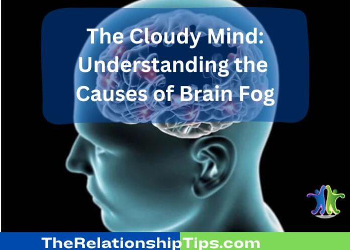 The Cloudy Mind: Understanding the Causes of Brain Fog