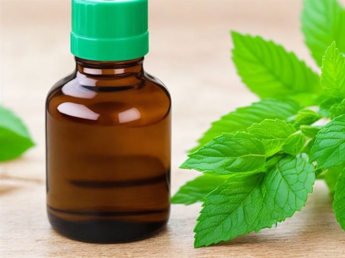 A Dermatologist's Guide on How to Use Peppermint Oil for Hair Health