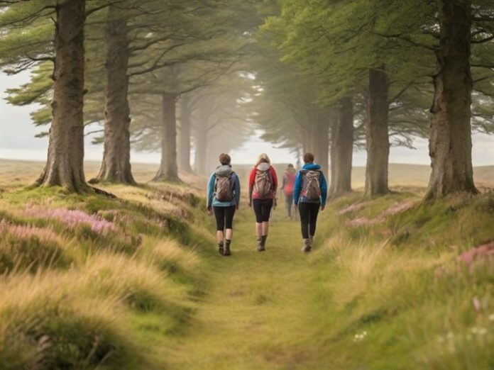 12 Must-Experience British Walking Festivals