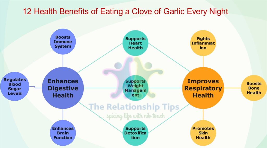 Infographic: 12 Health Benefits of Eating a Clove of Garlic Every Night